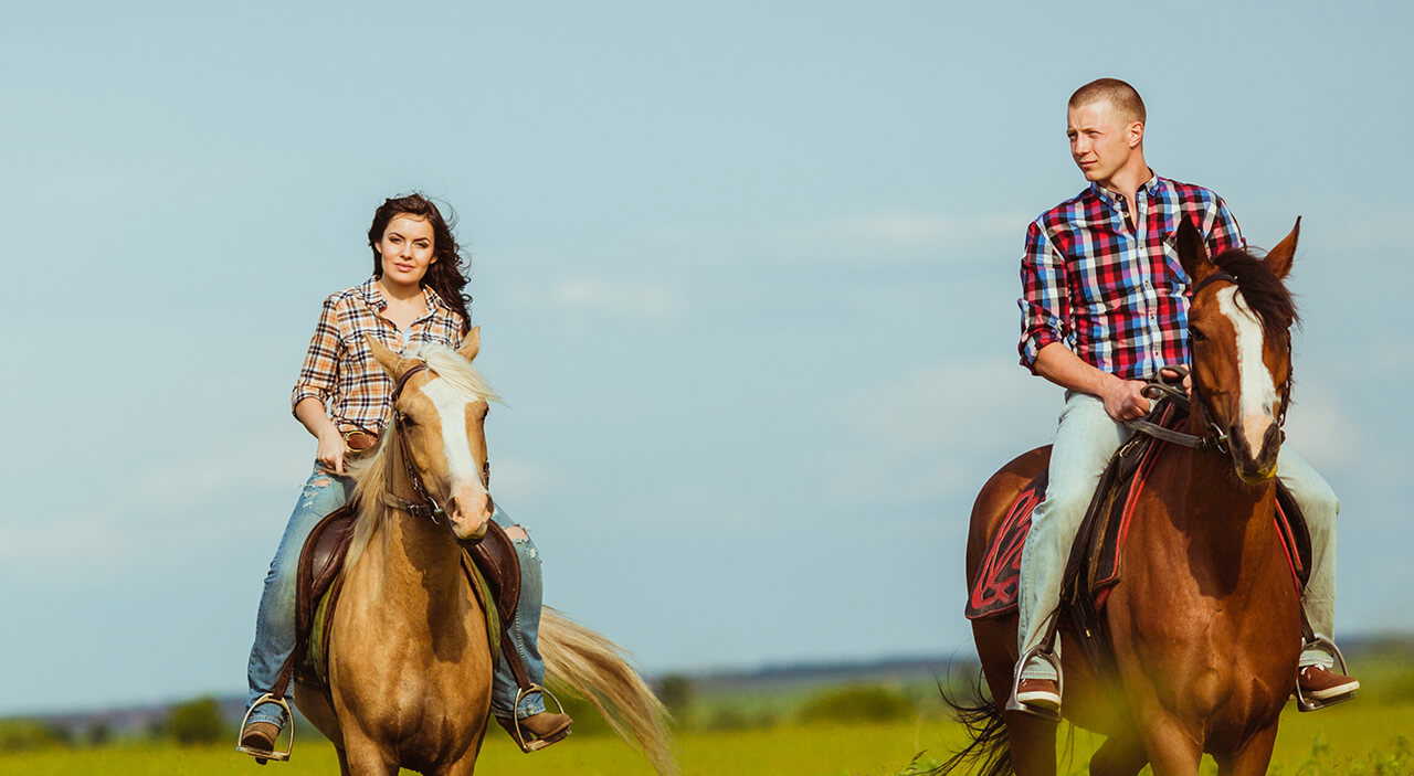 Woman and man riding horses in grassy field.